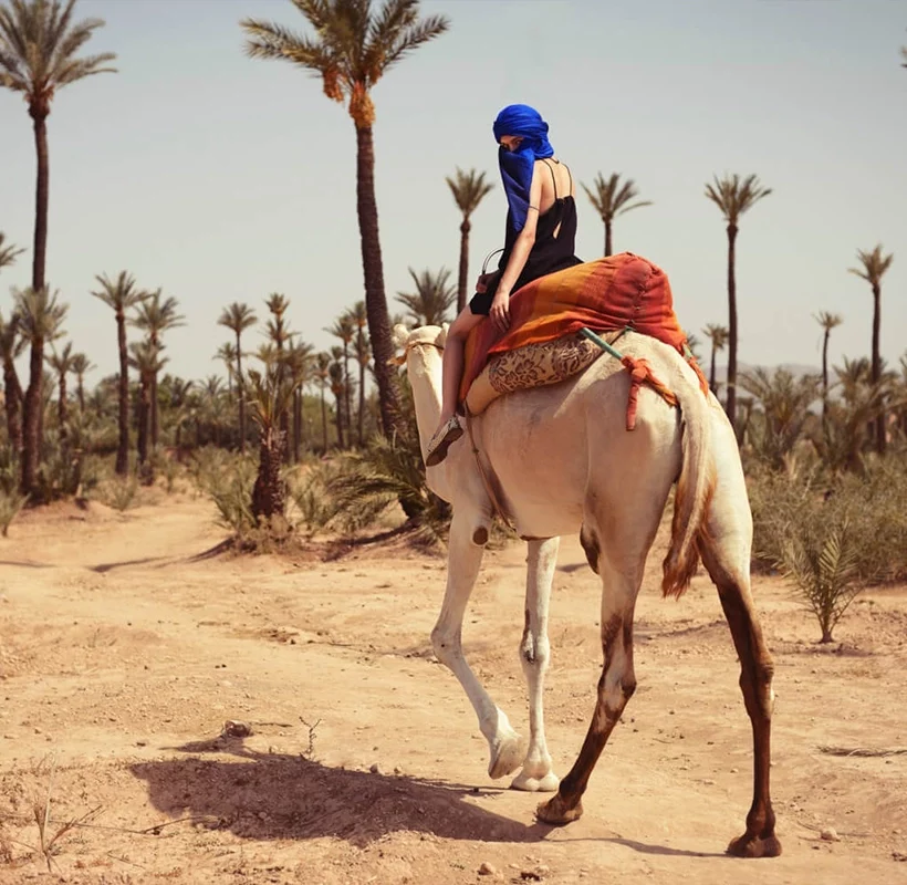 Camel Ride