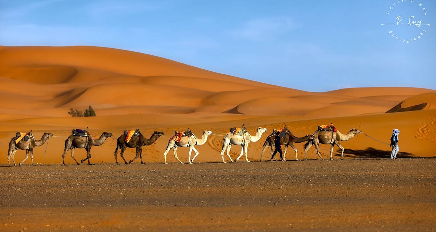 9 Days Morocco Tour from Marrakech