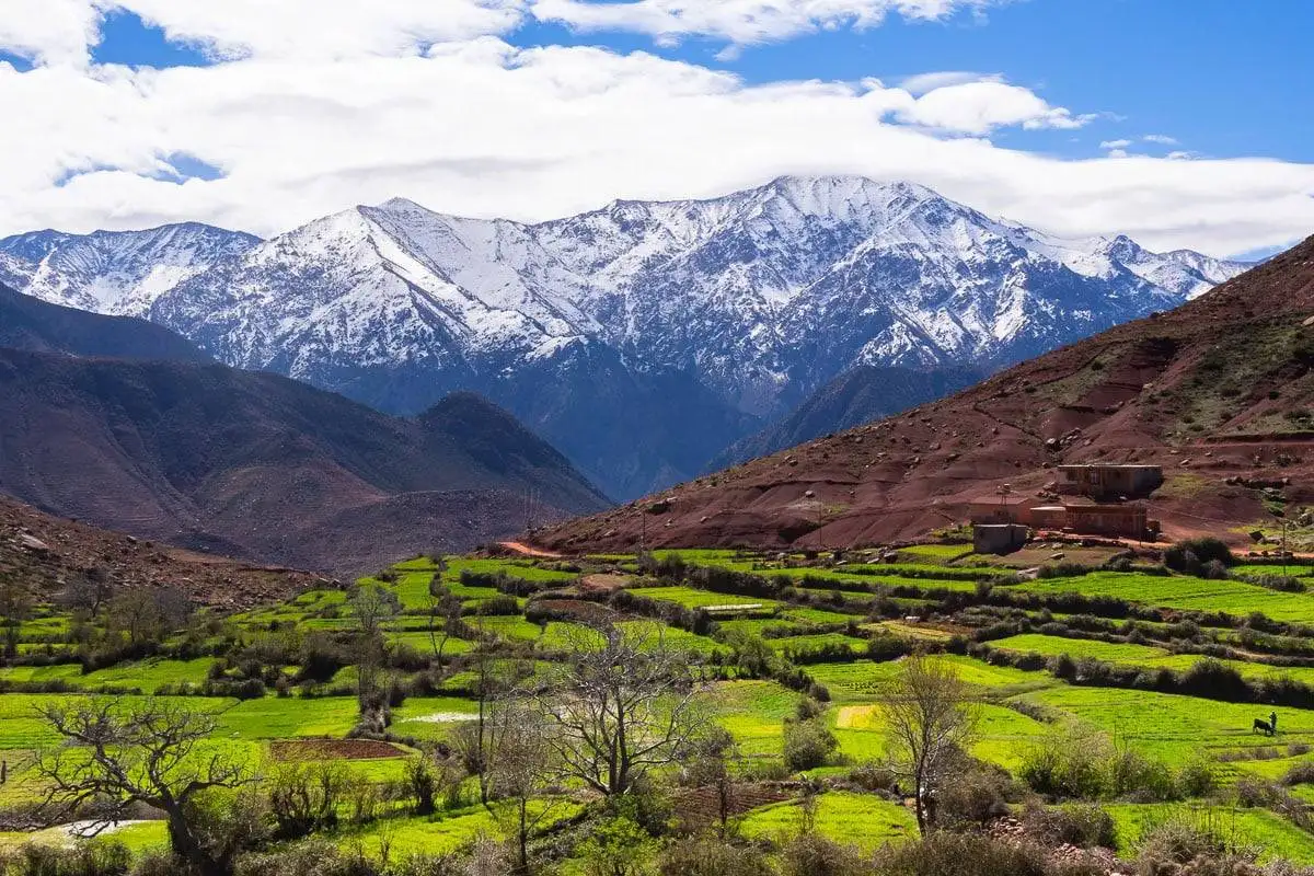 Imlil Day Trip from Marrakech